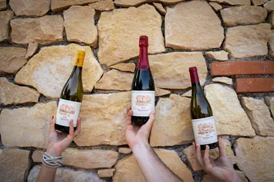 I vini Tamellini sul muro in pietra