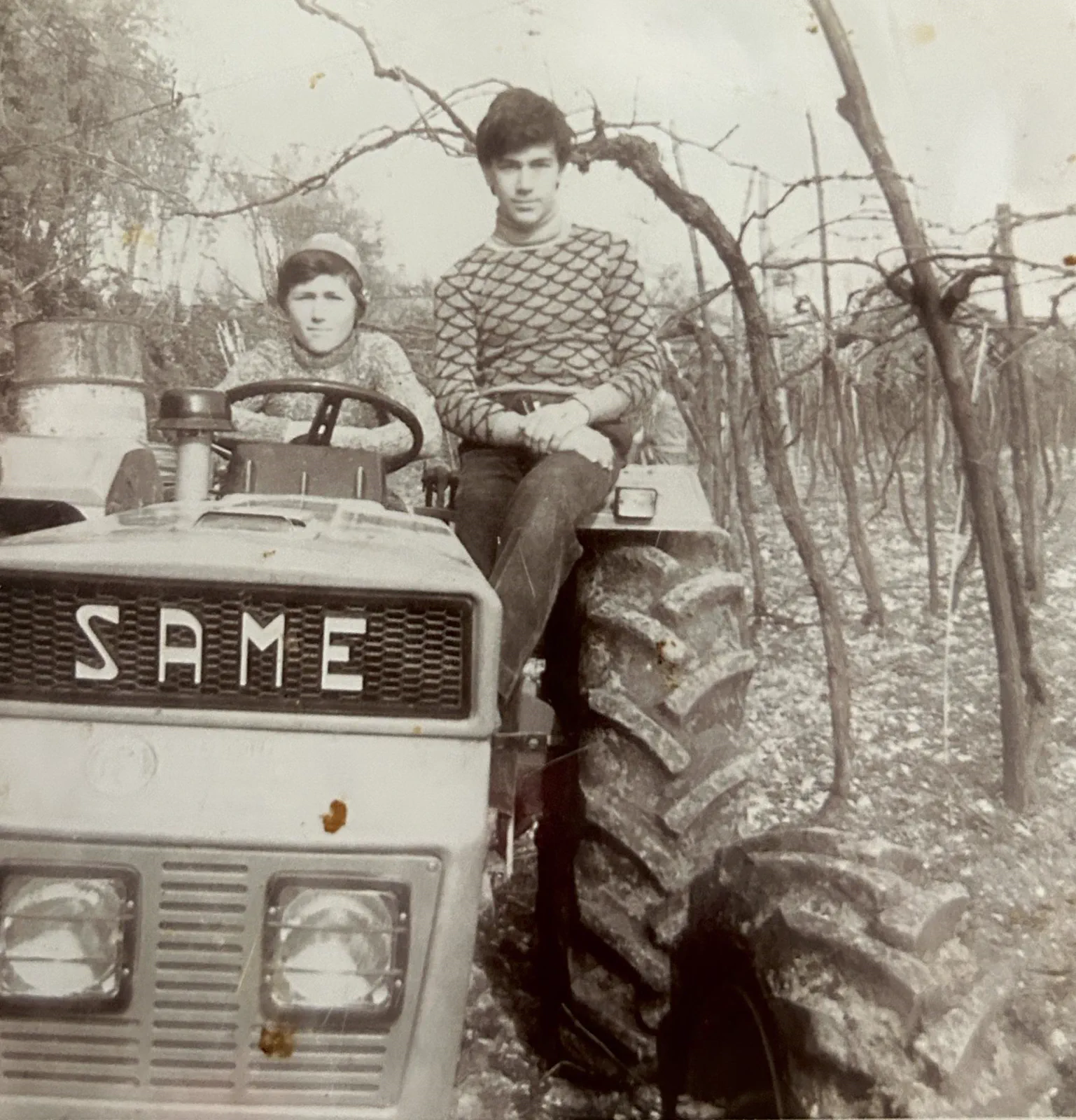 Foto storica: i fratelli Tamellini sul trattore tra i filari
