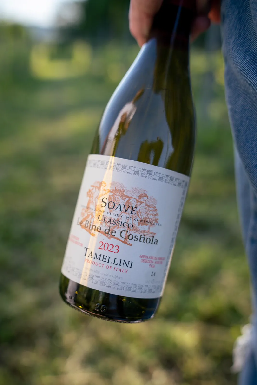 Bottiglia di Soave Classico Le Bine de Costiola tenuta in mano tra i filari